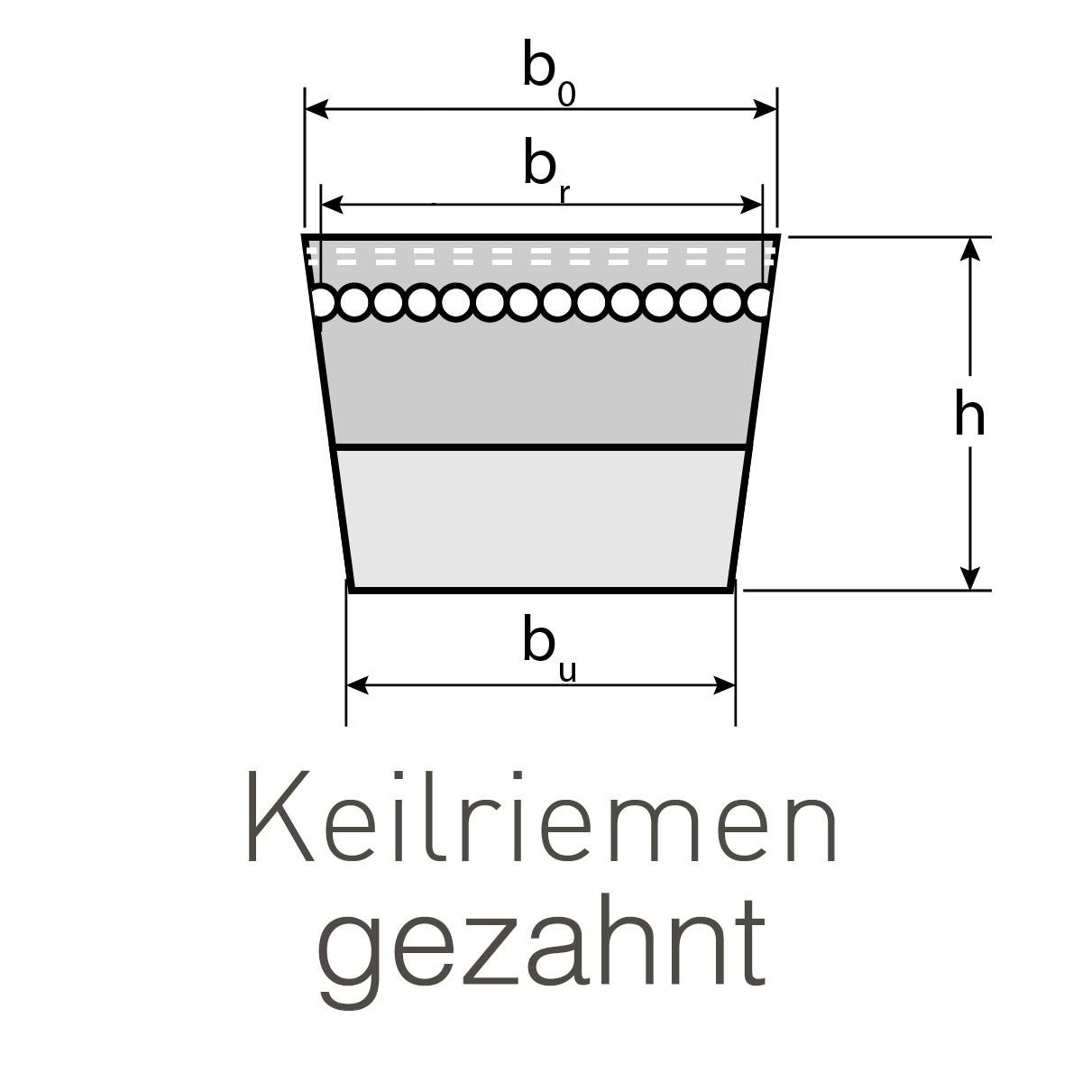 Klassischer Keilriemen Profil AX / X13 x 8 x 1625 Li flankenoffen, formgezahnt V-Belt DIN 2215 / ISO 4184 Klassischer Keilriemen Profil AX / X13 x 8 x 1625 Li flankenoffen, formgezahnt V-Belt DIN 2215 / ISO 4184